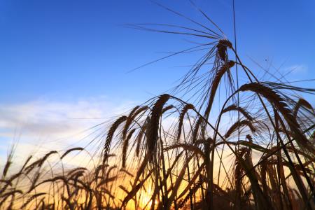 dozivetja 2021 (203)